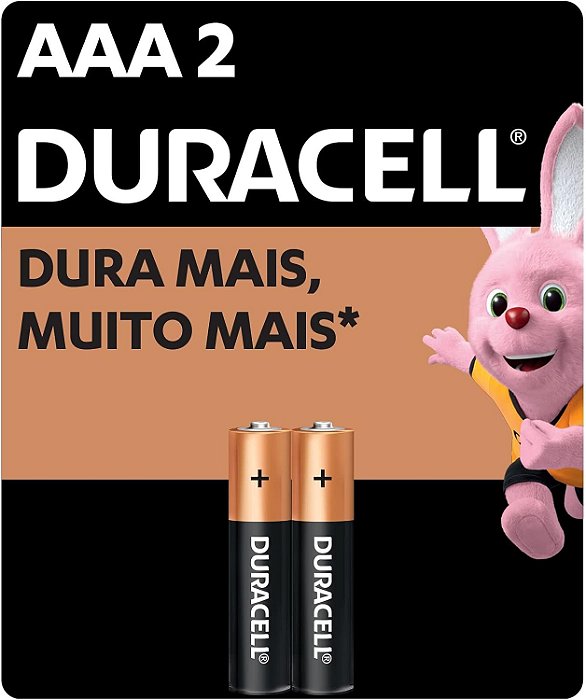 pilha Alcalina 1,5V AAA MN2400 (C/2 Pilhas) Duracell
