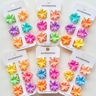 Kit 6 Mini Presilhas Flor Colorida 20243