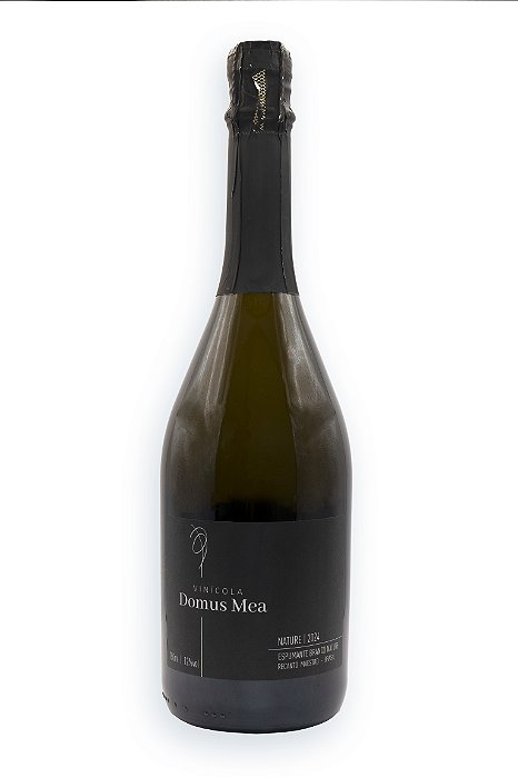 ESPUMANTE NATURE 750 ML - SAFRA 2024