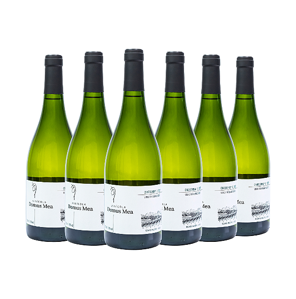 COMBO DE 6 UNIDADES -  CHARDONNAY 2022