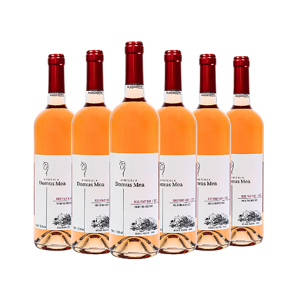 COMBO DE 6 UNIDADES - ROSE PINOT NOIR 2022