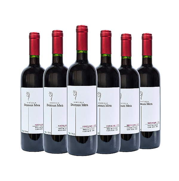 COMBO DE 6 UNIDADES - MONTEPULCIANO 2021