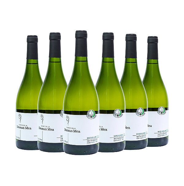 COMBO DE 6 UNIDADES - SUAVIGNON BLANC 2022