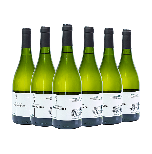 COMBO DE 6 UNIDADES - TRAMINER 2022