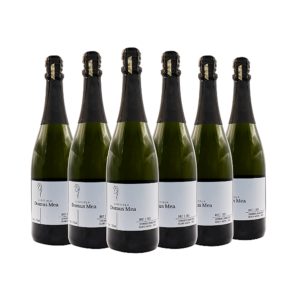 COMBO DE 6 UNIDADES - BRUT 2024