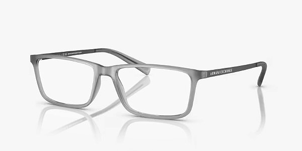 Armani Exchange AX3027-55-8363 Cinza gelado