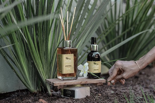 Kit Equilíbrio nas emoções