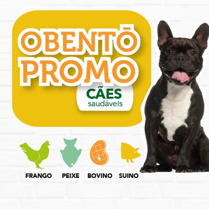 Dieta PROMO | Cães