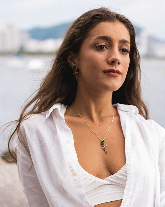 Brinco Arara Amazônia