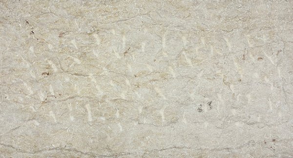 Veiniato Antique 30x60 cx com 0,36m²