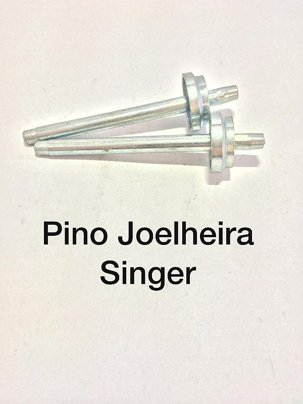 Pino Joelheira Singer
