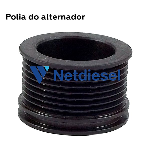 F00M991199 - Polia do alternador