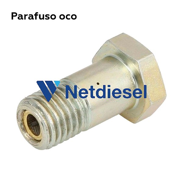 F002D13579 - Parafuso oco - Bosch