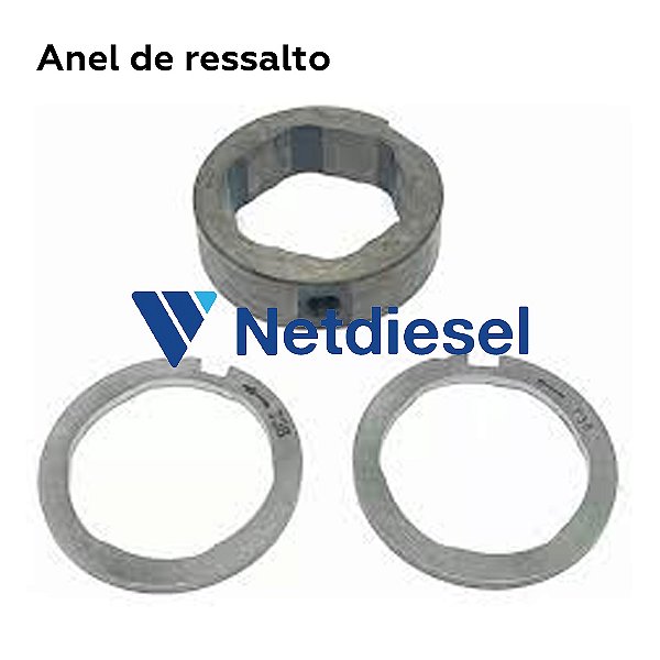 7189-100BQ - Anel de ressalto - Delphi