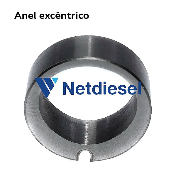 7189-006 - Anel excêntrico - Delphi