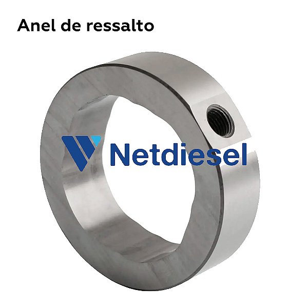 7180-094  - Anel de ressalto - Delphi