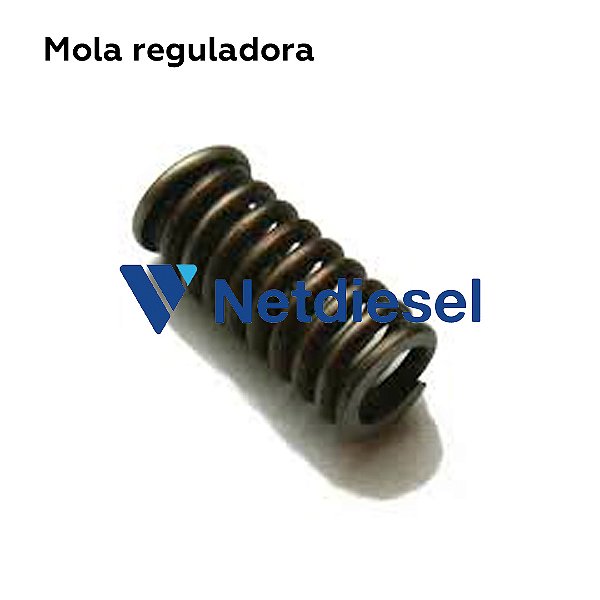 7167-183A - Mola reguladora - Delphi