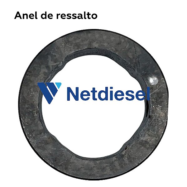 7139-949E - Anel de ressalto - Delphi