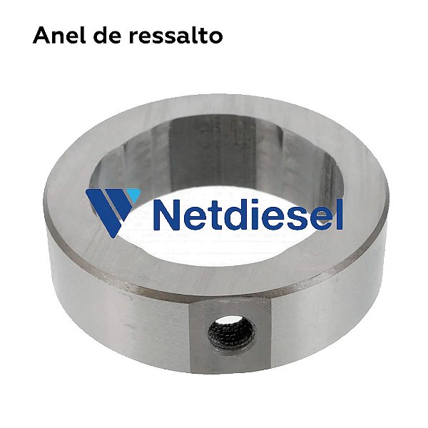 7139-844E - Anel de ressalto - Delphi