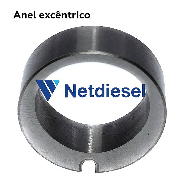 7139-541 - Anel Excêntrico - Delphi