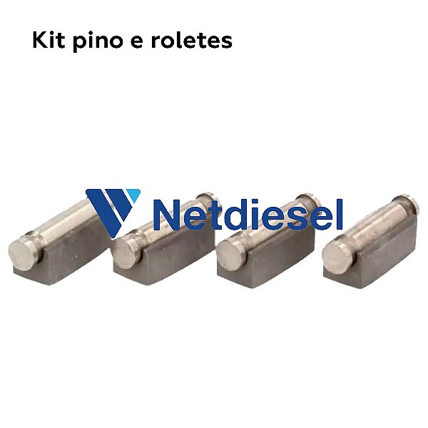 7135-72S - Kit pino e roletes - Delphi