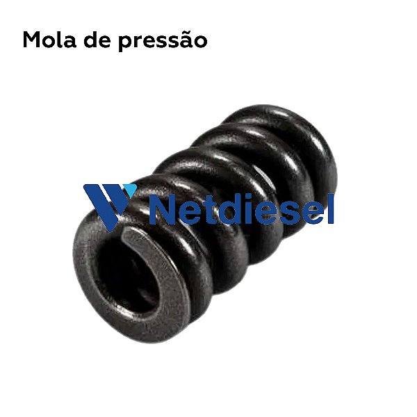 2434614010 - Mola de pressão - Bosch