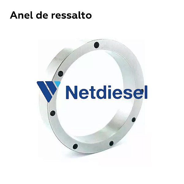 31620 - Anel de ressalto - Stanadyne