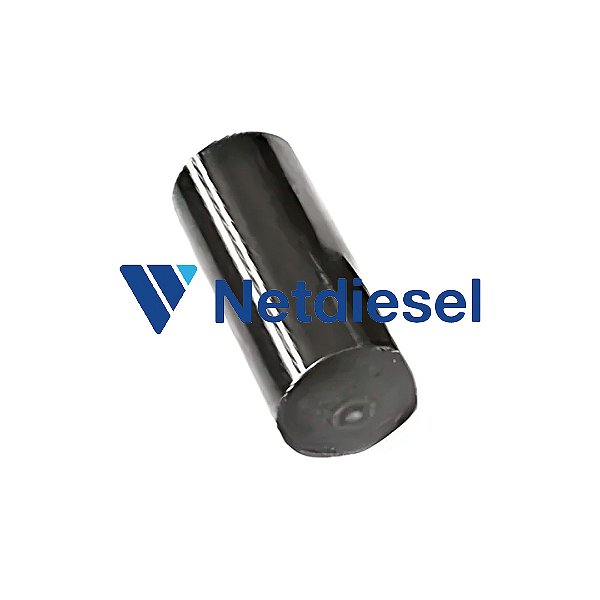 2463100002 - Pino do Rolete VE - Bosch