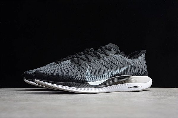 nike zoom pegasus turbo 2.0