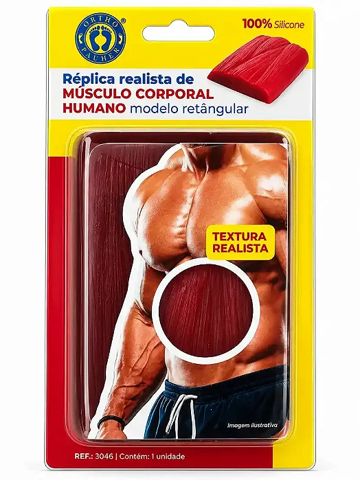 Réplica realista de músculo corporal humano – Modelo retangular