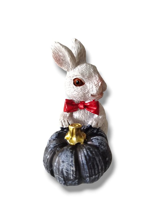 Coelho Alice com abóbora