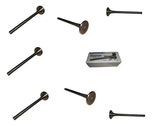 Jogo Válvula Escape Peugeot Boxer 2.0 16v Ducato