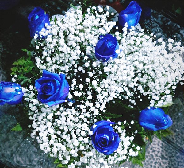 ROSA AZUL MEIA DÚZIA (6 ROSAS)