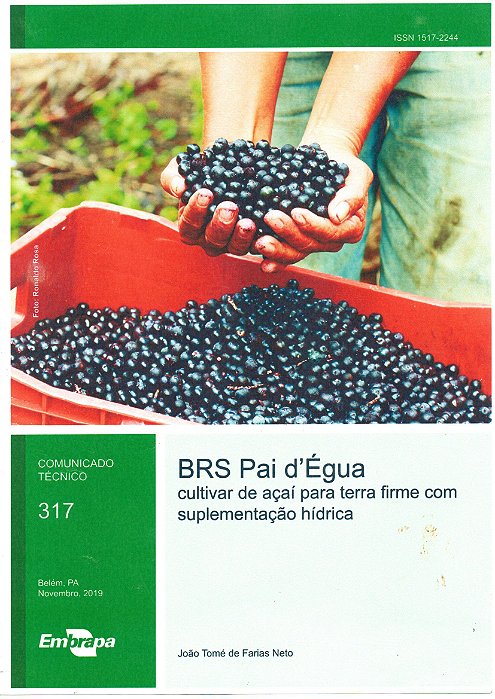 SEMENTES DE AÇAI BRS-PAI DEGUA 2KG PRE GERMINADAS