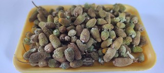 Flor de Jambu Desidrada 4kg