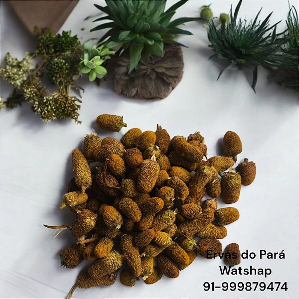Flor de Jambu Desidrata 1 KG