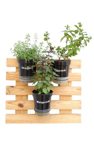 Horta com 3 vasos