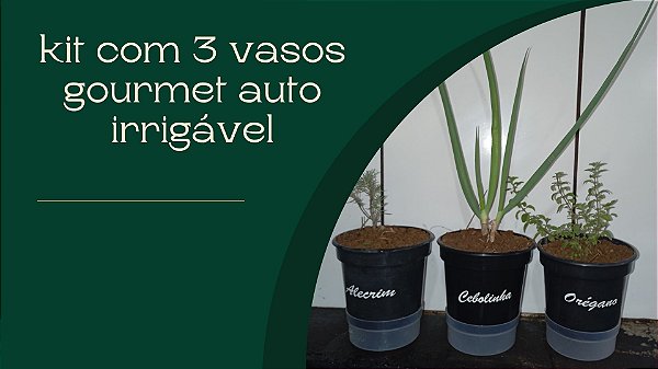 Vaso autoirrigável