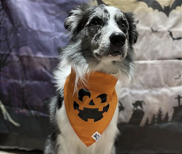 Bandana de Halloween - Abóbora - P23 Pet