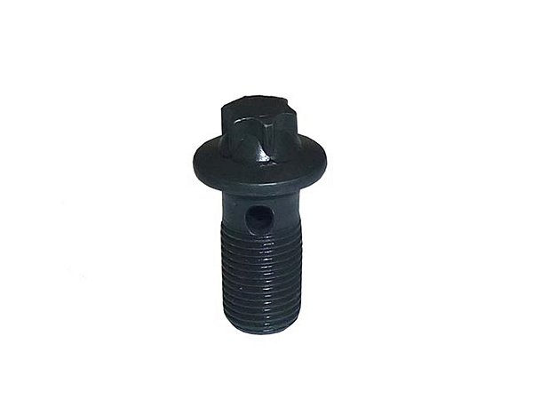 KIT Parafuso Bico Refrigerador 8.8/20X1X10MM Para Sca P/G/R/T (1525387)