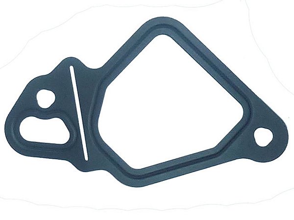 KIT Junta Coletor Admissao Volks CONSTELLATION/WORKER ADVANTECH (07W145417)