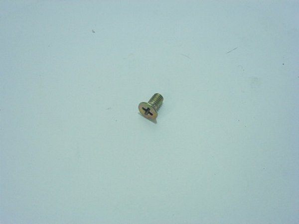 KIT Parafuso Philips 5X0,8X10 BR 1177 (075872)