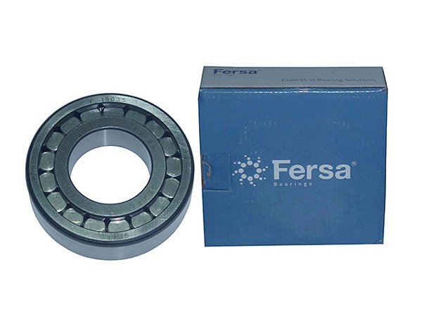 Rolamento Diferencial Pinhao F19035/Bc1B Ford CARGO 1215/1216/1217/1315/1317/1415/1416 (TE3525221)