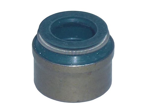 KIT Retentor Valvula Cabecote 11X13,6/18X13M Para Sca P94/F94 (1304293)