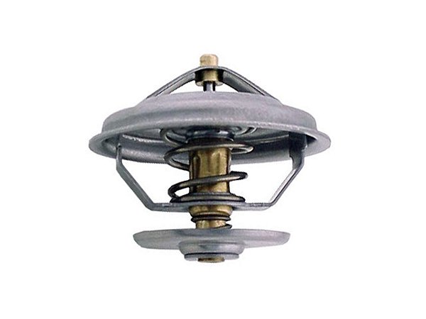 Valvula Termostatica 75º Para Sca K113/T113 (525155)