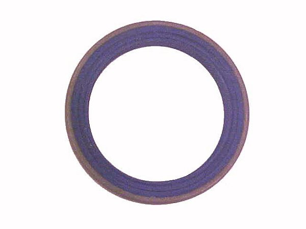 Retentor/Tampa Traseiro Cambio 2100 Mercedes L1111/1113/1313/1513/2013/2213 (3449977746)