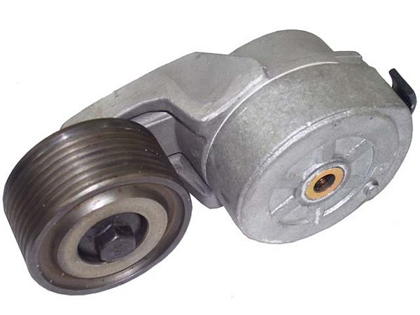 Esticador Correia(Estriada) Ford TODOS FORD CARGO (BFOT10B300BA)