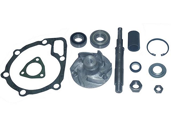 Reparo Bomba D'Agua C/ Rolamento Para Sca K112/S112/T112-83../112/113- (550167)