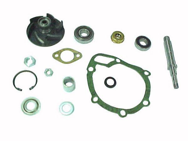 Reparo-Bomba D'Agua C/ Rolamento 6Cc Para Sca 111 (550044)