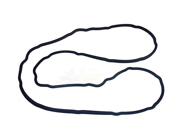 Junta Carter Plastico Volvo D13A/FH/FM (20541940)
